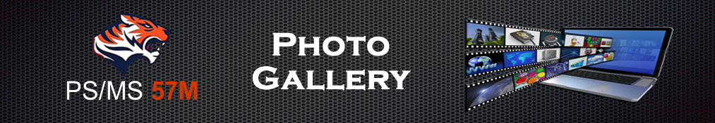 gallery banner